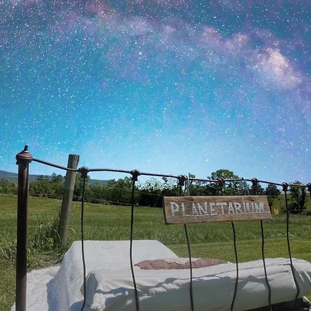 Edinburg Shenandoah Valley Glamping - Amazing Views - Farm מראה חיצוני תמונה