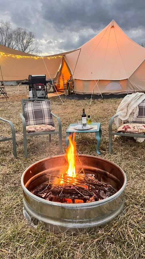 Edinburg Shenandoah Valley Glamping - Amazing Views - Farm מראה חיצוני תמונה