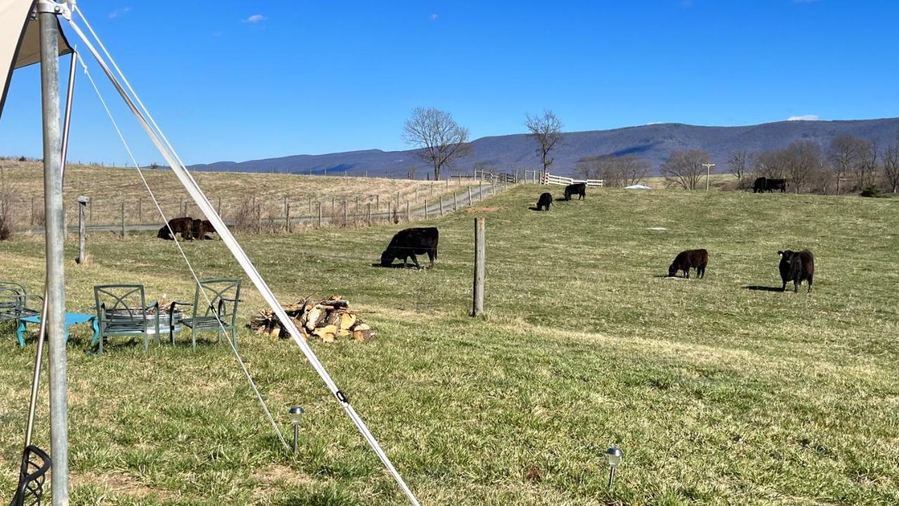 Edinburg Shenandoah Valley Glamping - Amazing Views - Farm מראה חיצוני תמונה