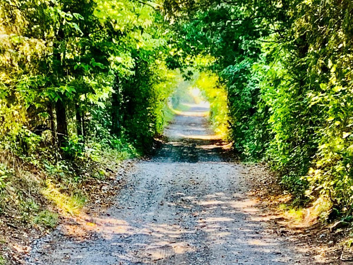 Edinburg Shenandoah Valley Glamping - Amazing Views - Farm מראה חיצוני תמונה